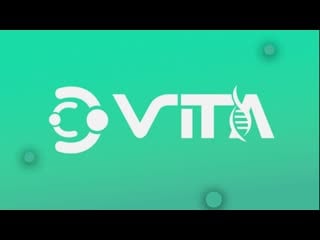 Новый год в vita surrogacy