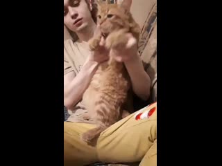 Gone fludd и котик♥️
2 котика♥️