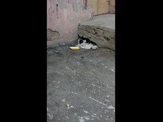 Vid 20201115 113720 mp4