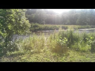 Солнцемёд sun honey любовь неси нас домой в небо love take us home to the sky