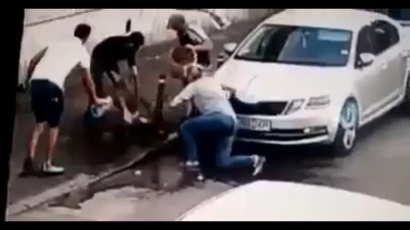 Собачникам на заметку что может произойти, если бойцовскую молодые выгуливать без поводка и намордника