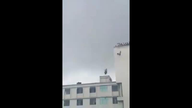 Крупное столпотворение на крыше и полное отсутствие безопасности привело к смерти
