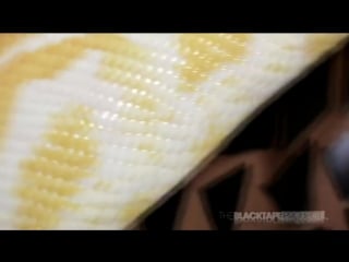 Hotel erotica красивая эротика hd music playboy model khloe terae