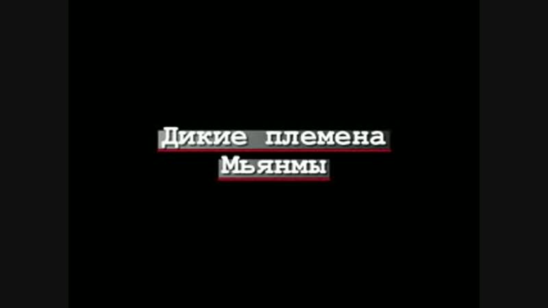 Дикие племена - Лучшие за месяц порно видео (7409 видео), стр. 5