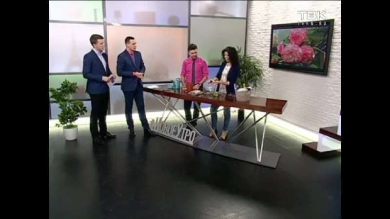 Клубневая бегония секреты выращивания