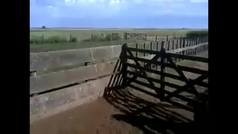 Мгновенная карма