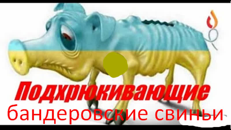 Подхрюкивающие бандеровские свиньи