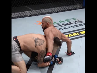 Deiveson figueiredo 🇧🇷 🆚 alex perez 🇺🇸