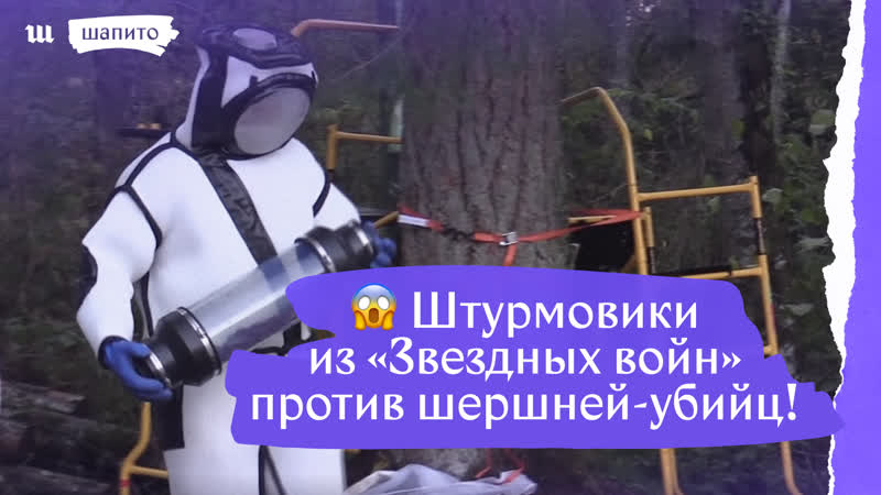 Штурмовики из "звездных войн" против шершней убийц