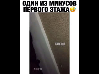 Один из минусов первого этажа 😅