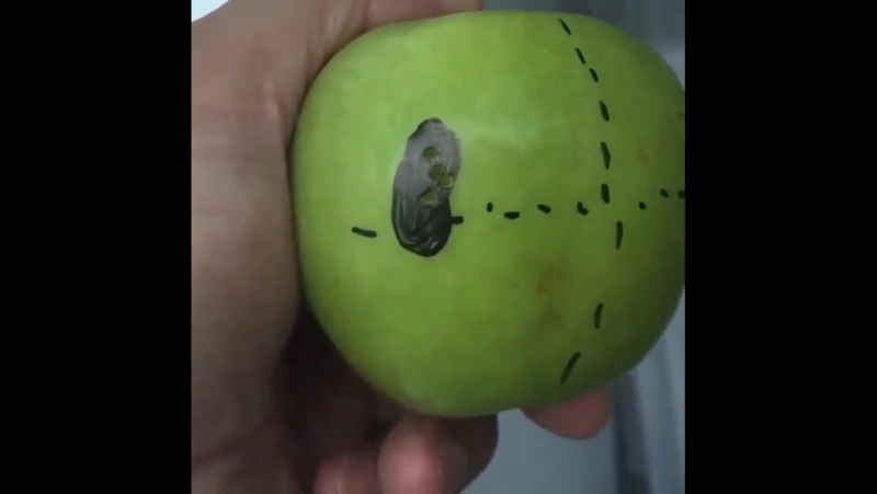 Современный метод биопсии простаты, на примере яблока