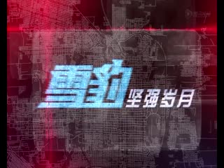 Новый снежный барс серия 1 перевод выполнила фсг тали