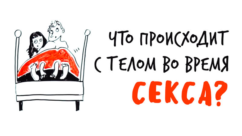Что происходит с телом во время секса? научпок