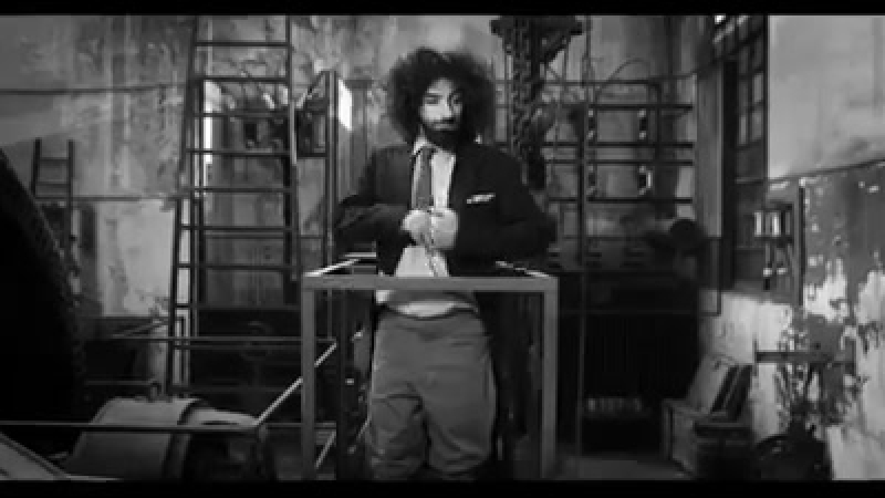 Le chat doré (nata moreno, ara malikian)