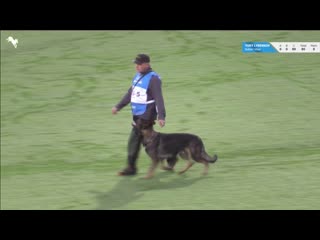 Button vikar b 70 wusv wm 2019