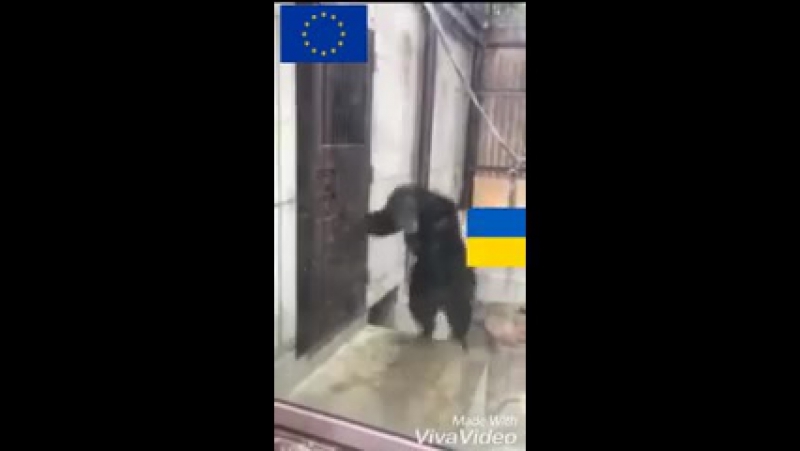 Двері до європи