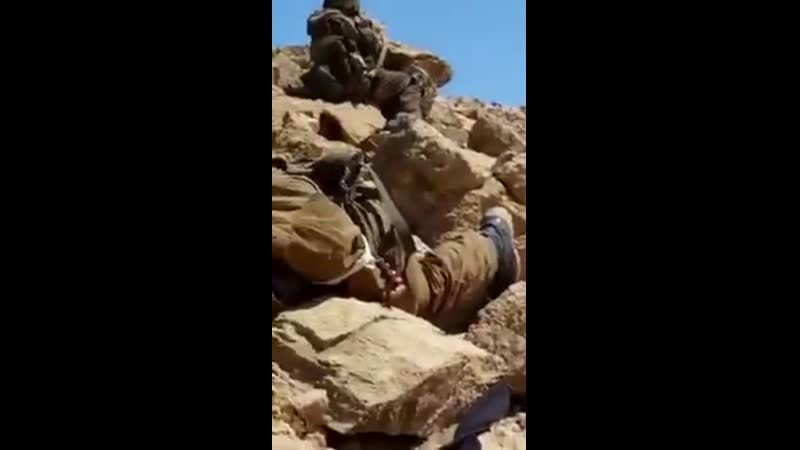 Плюс два ординьця купили квитки на концерт кобзона в сирії