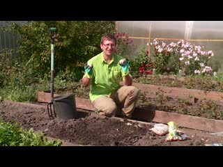 20190907 консультант садовода