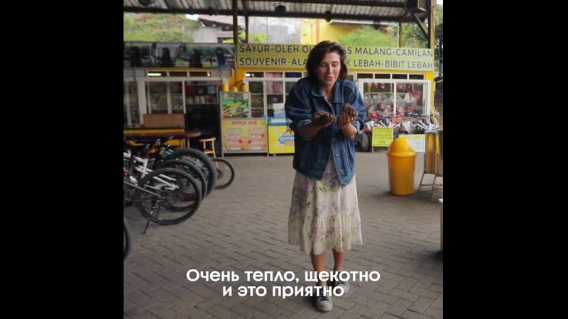 Алина астровская примерила перчатки из живых пчёл орел и решка