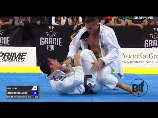 Luis felipe teixeira vs silva dos santos #graciepro #бжж какпоучебнику