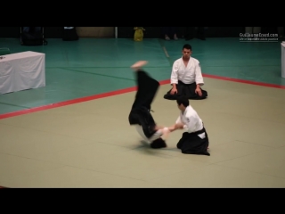 Shirakawa ryuji 54th all japan aikido demonstration (2016)