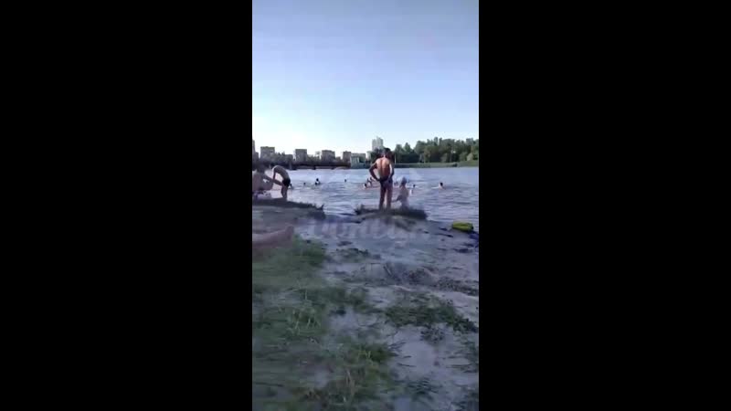 Дончане купаются в грязной воде