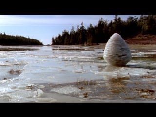 Rivers and tides׃ andy goldsworthy working with time