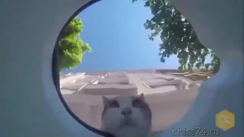 Спасительный кувшин