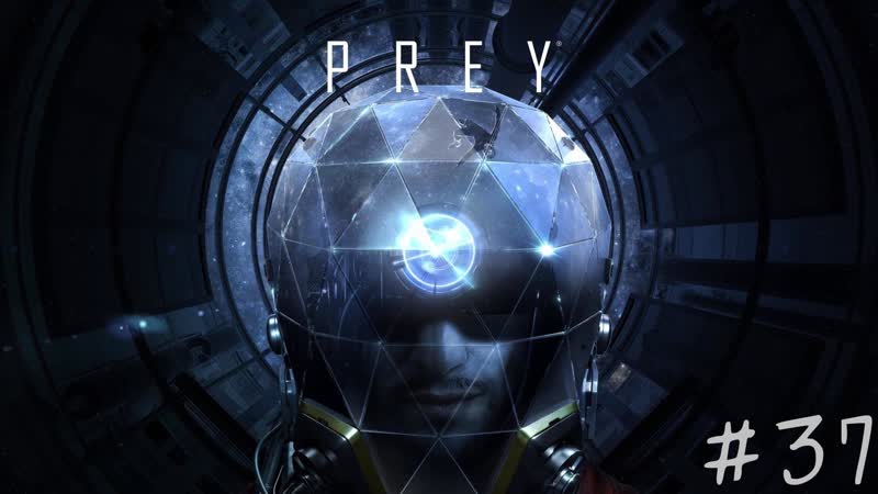 37 карты, контрабандисты и недовольный сотрудник (часть 2)