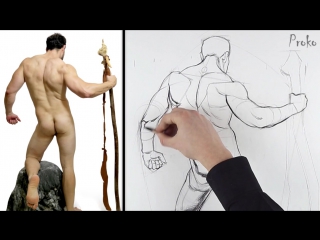 Proko «figure drawing fundamentals» (part 35/42)