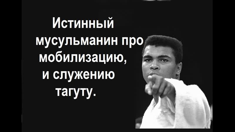 Мухаммед али про мобилизацию обращение к башкирам (манҡурты мимо)