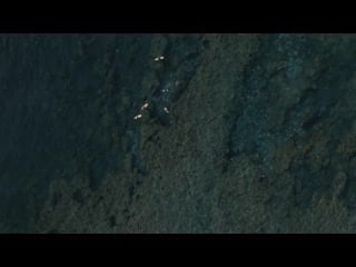 08 20 artgrid drone surfer on reef spot 4k graded