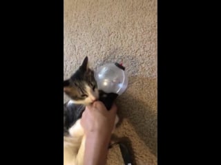 She won’t give me my lightstick back