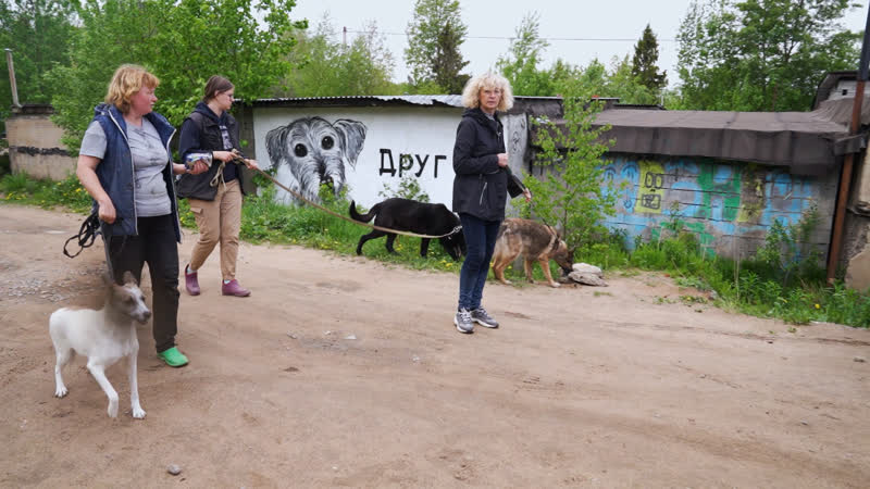 Ежедневная помощь молодые