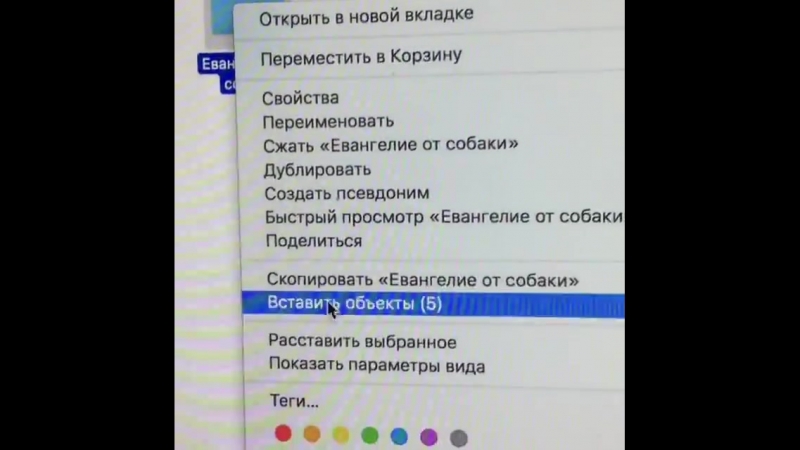 Хаски удаляет свой новый альбом «евангелие от молодые»