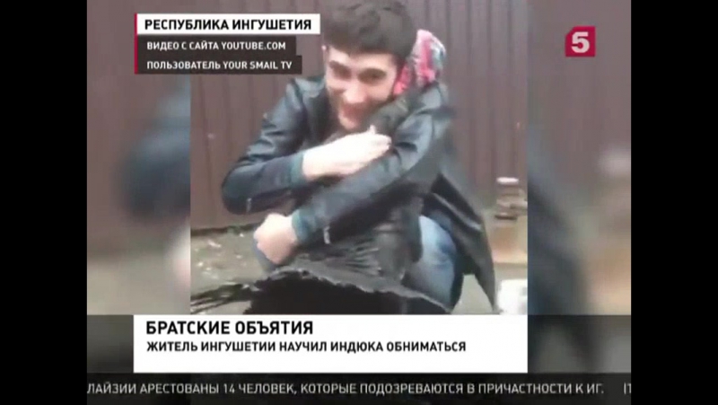 Набирает porn video – В сети и набирает популярность ролик с любвеобильным индюком