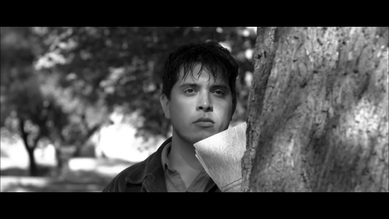 Queer Vans 18+ Only Always You (gay Short Film)