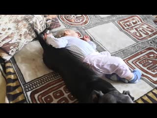 Vid 20201003 090312 mp4