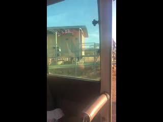 Throw back to when we threw a fake snake into random people in the bathroom mp4