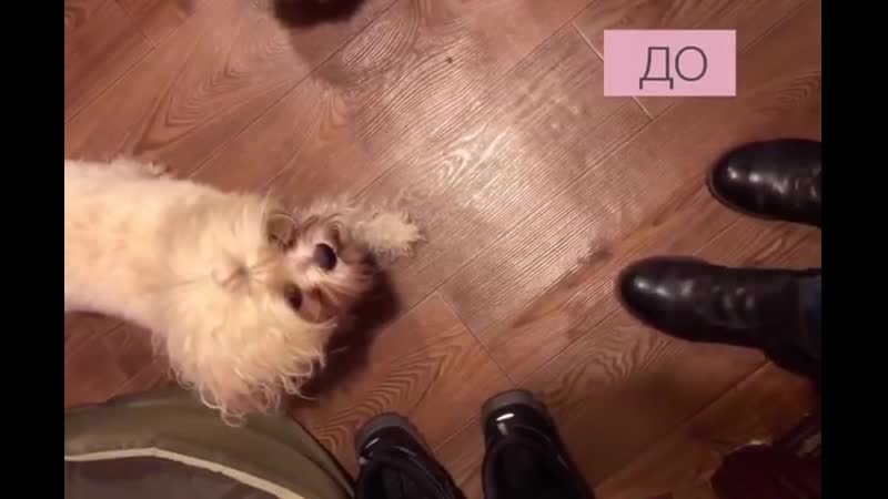 Проблемы из за отсутствия личного пространства