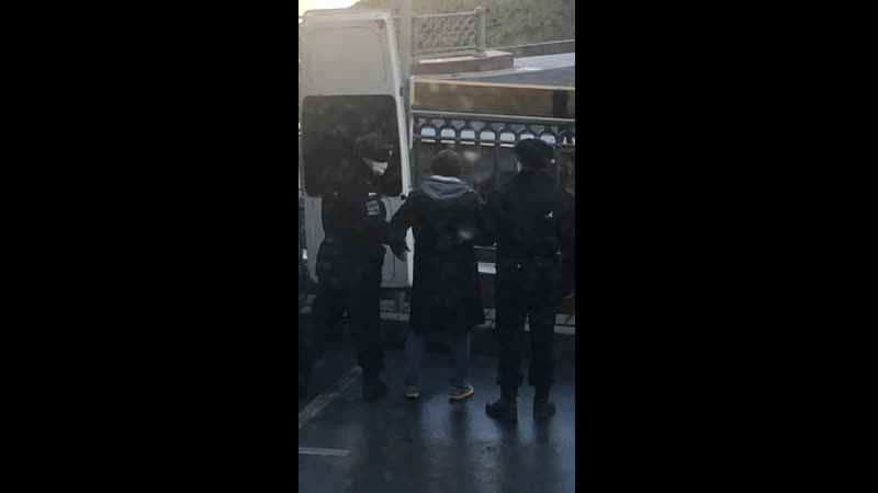 Задержание иисуса воробьёва на патриарших