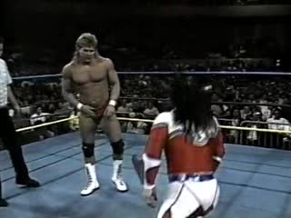 Jushin liger vs flyin' brian (brian pillman) wcw world light heavyweight championship (wcw superbrawl ii)