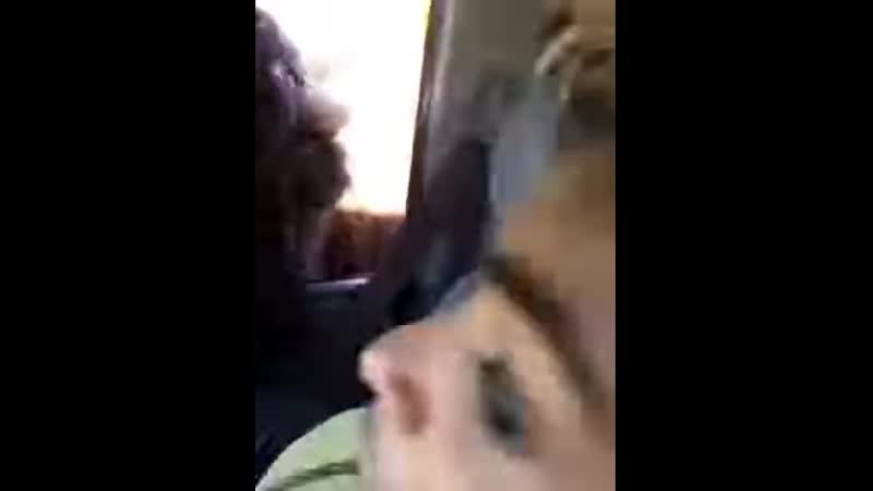 Неожиданный бизон