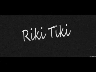 Riki tiki 1337