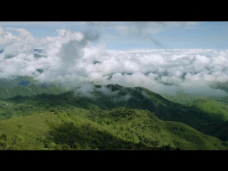 Великий рифт дикое сердце африки 1 серия огонь / great rift africa's wild heart (2010)