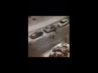 Неадекватные, солевые телки