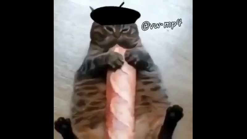 Багет багет!