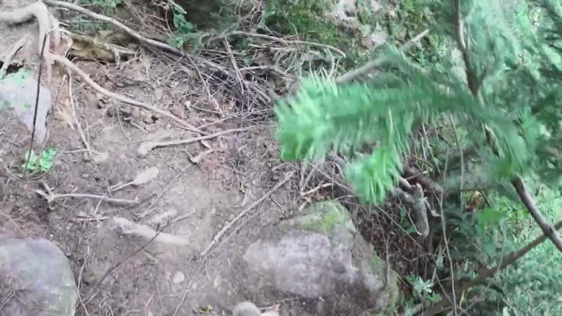 [непоходница] ушла в горы на неделю тест ботинок, палатки и себя непоходница