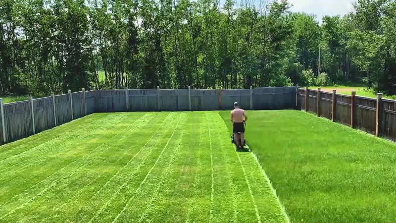 Time lapse of myself mowing the lawn is oddly satisfying to watch if you're in the dad demographic
