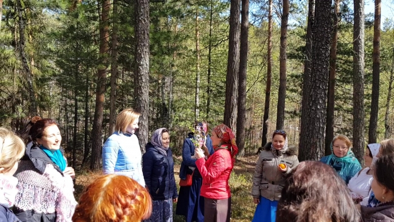 Зеленые святки